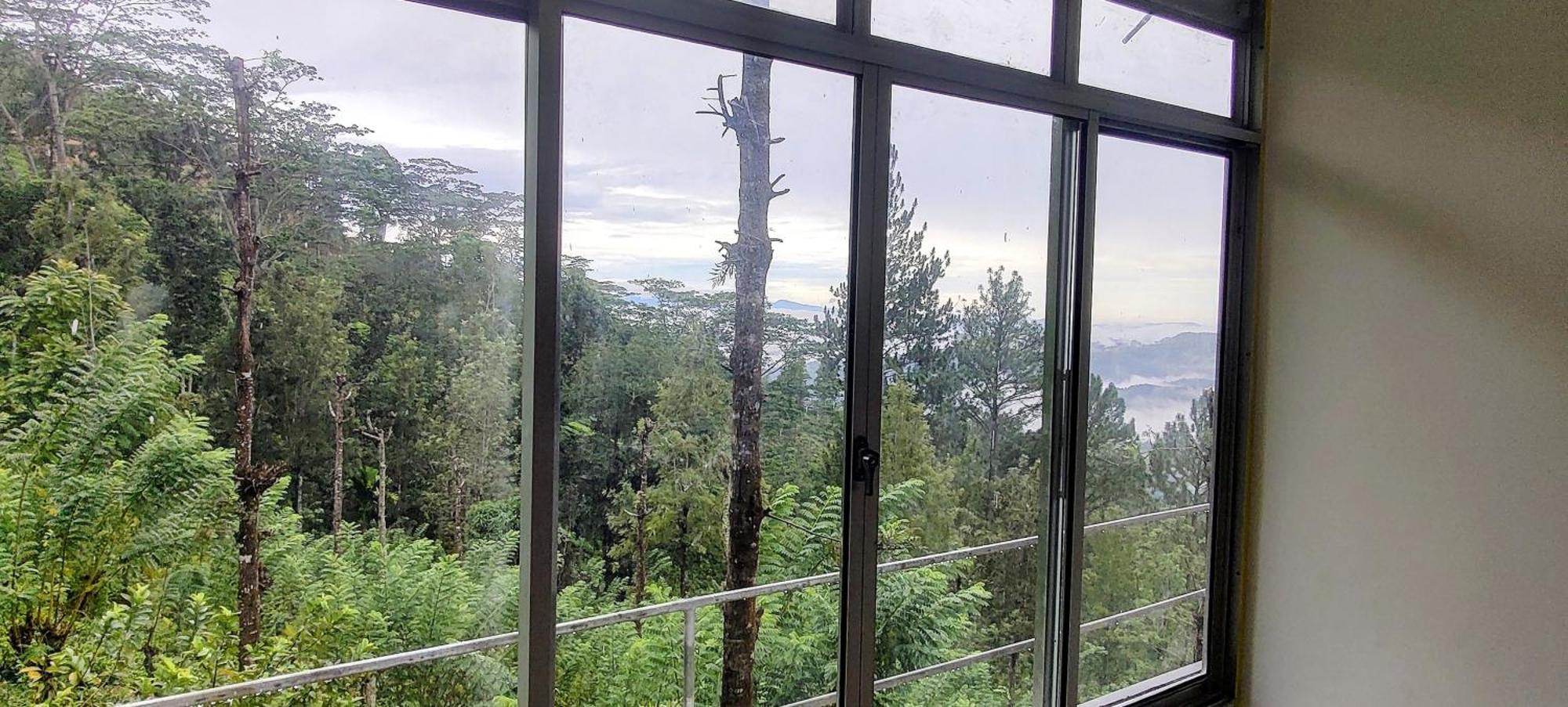 Homestay Rohana Estate & *