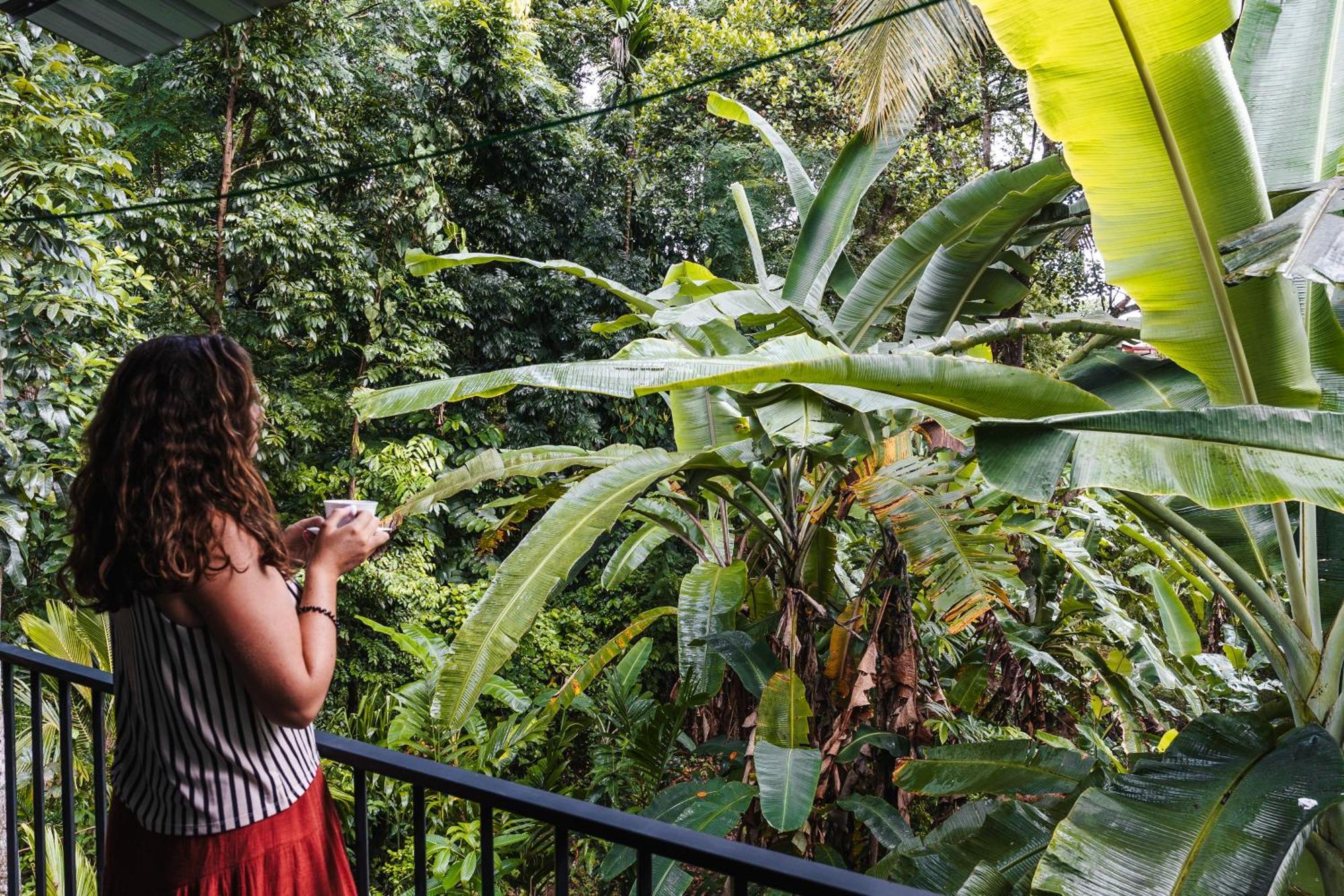 Homestay Serene