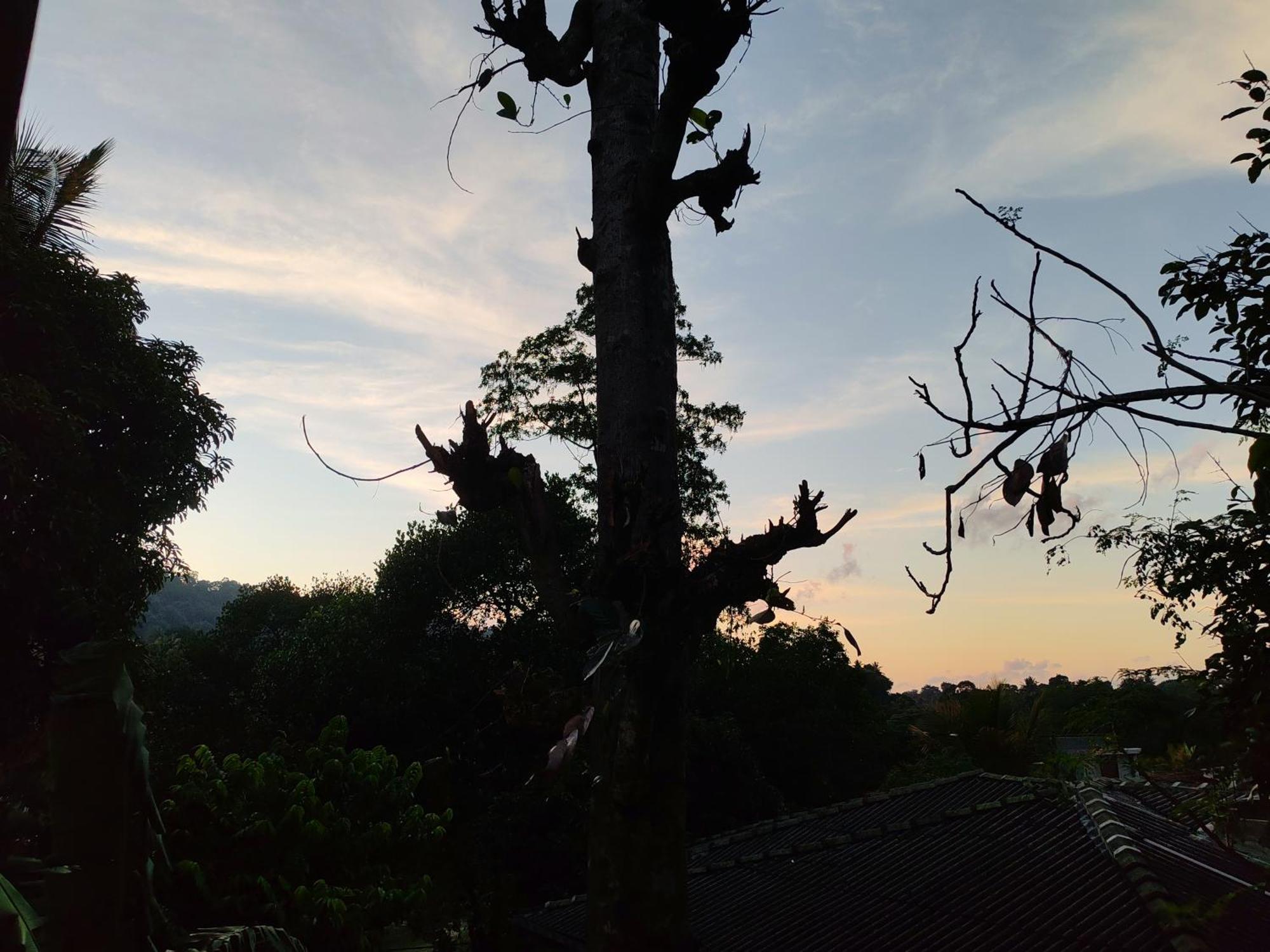 Lalanga 2* Kandy