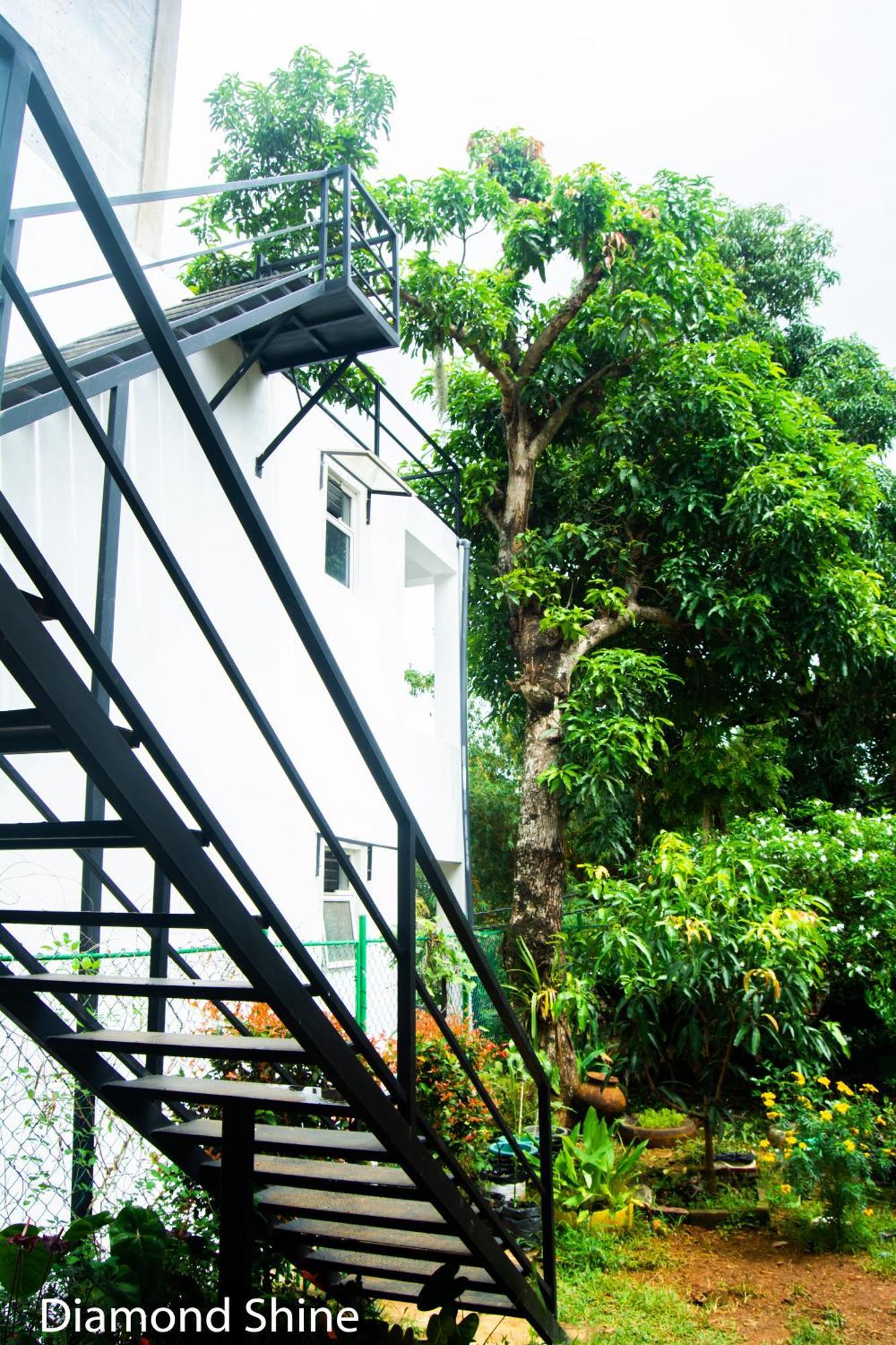 Hostel Diamond Shine And Bunk Beds