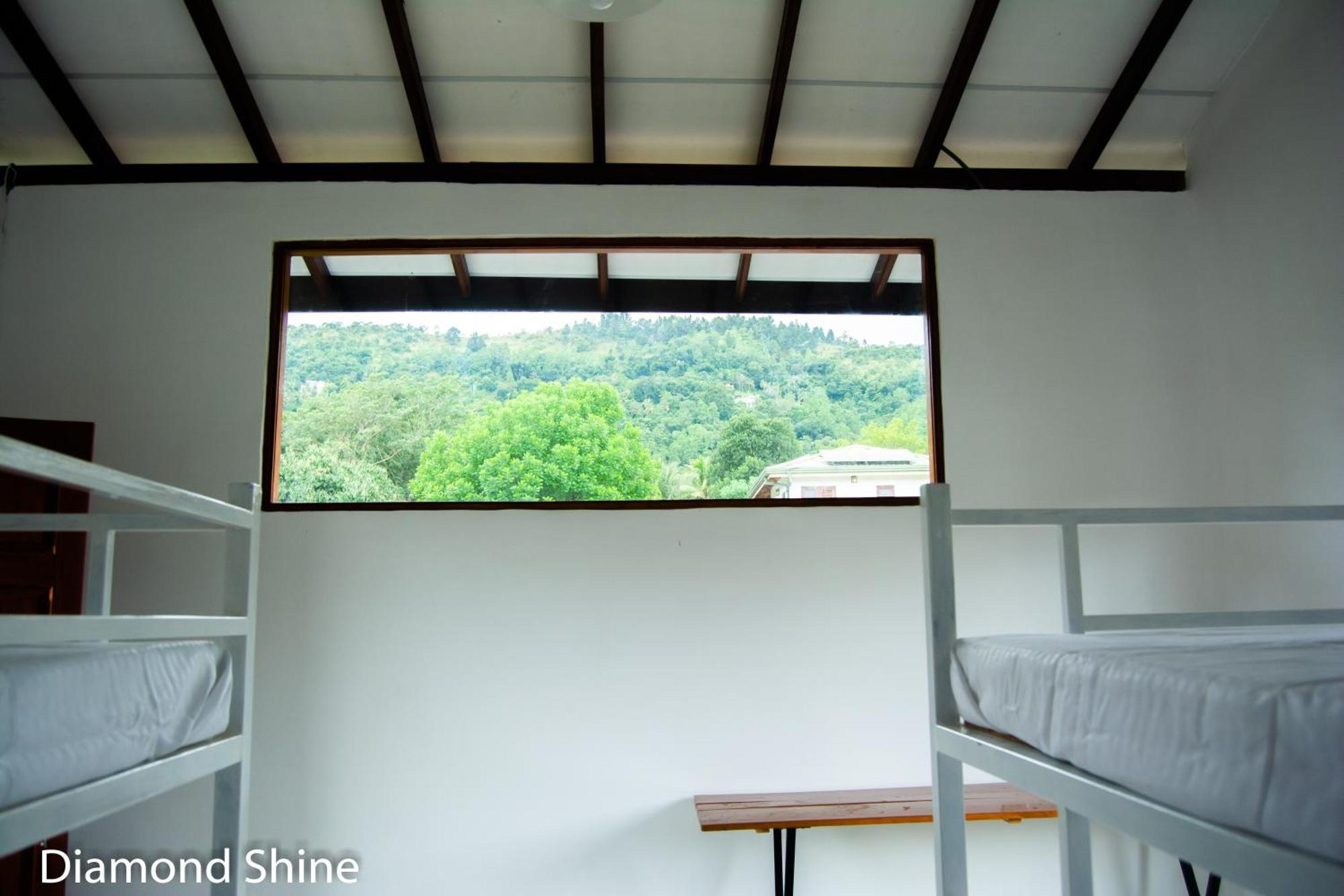 Diamond Shine And Bunk Beds *
