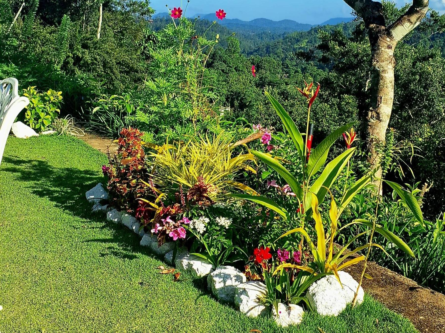 Kobbekaduwa Guest house Kandy