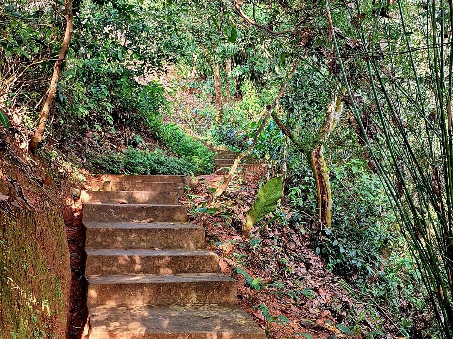 Kobbekaduwa Kandy