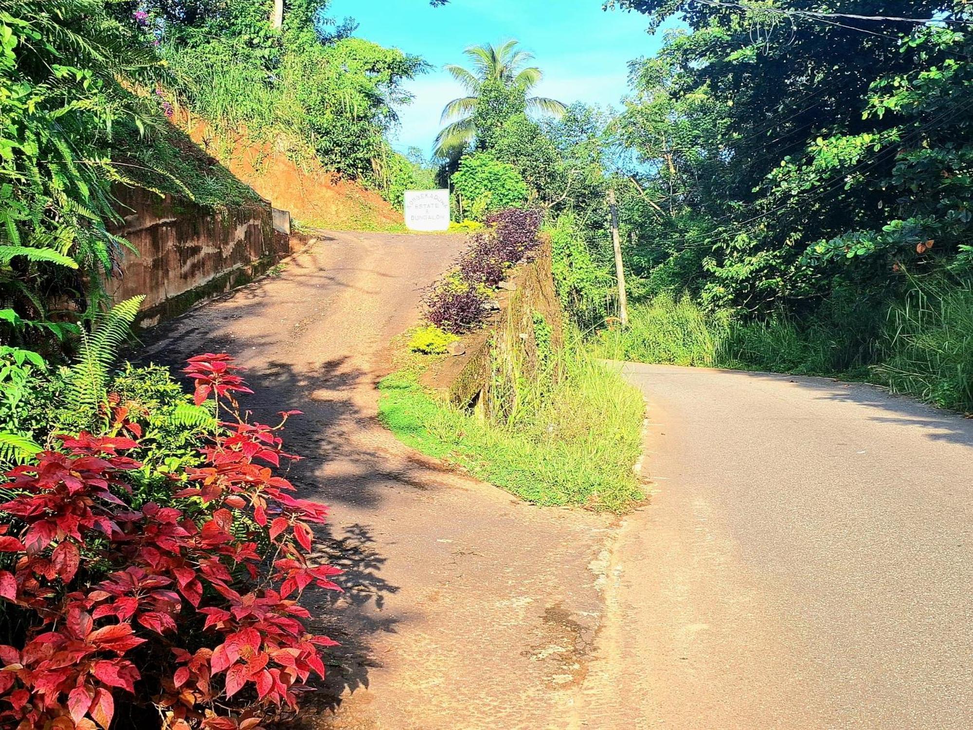 Kobbekaduwa * Kandy