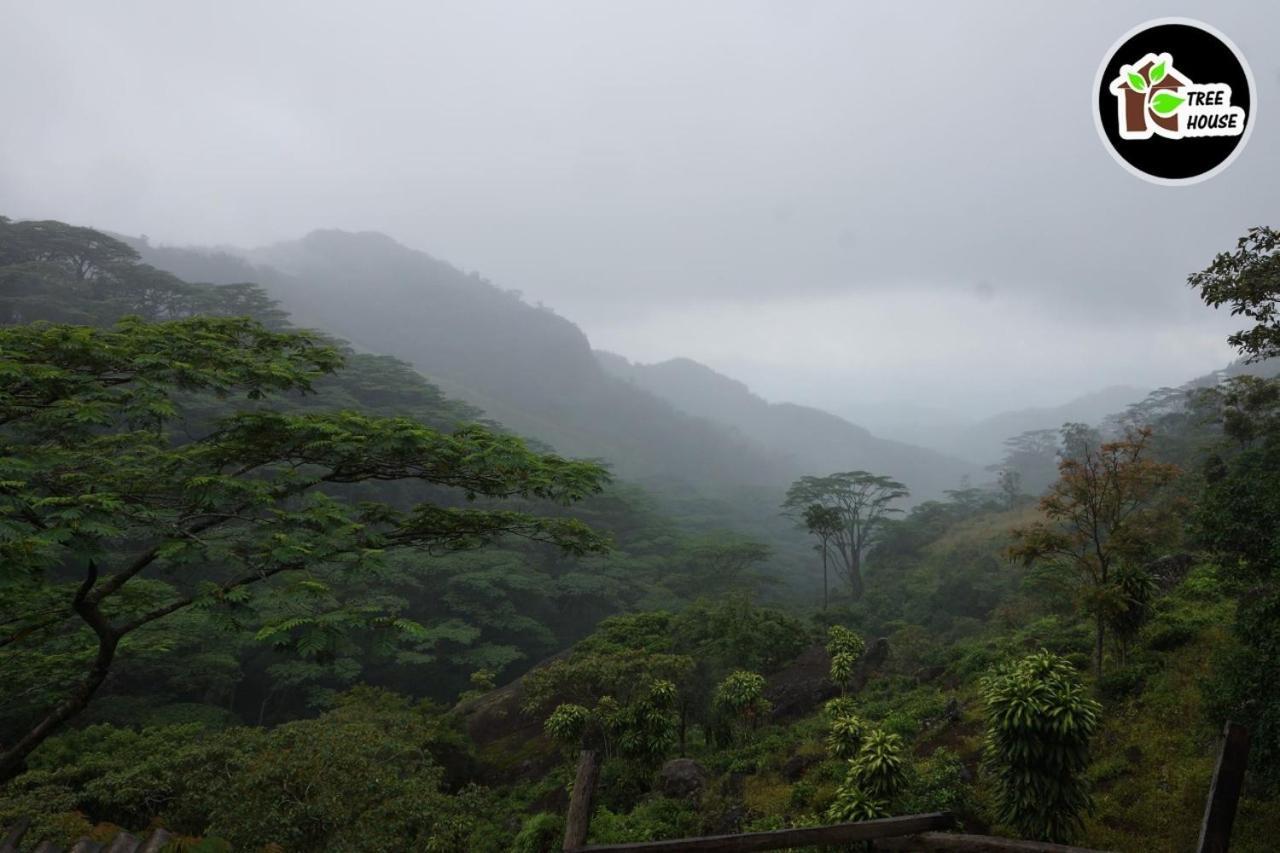 Bed & Breakfast Jungle Tree House Rangala *