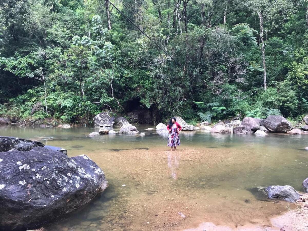 Jungle Tree House Rangala Bed & Breakfast *