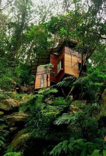 Bed & Breakfast Jungle Tree House Rangala Kandy