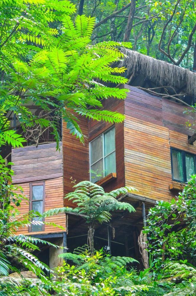 Bed & Breakfast Jungle Tree House Rangala Kandy