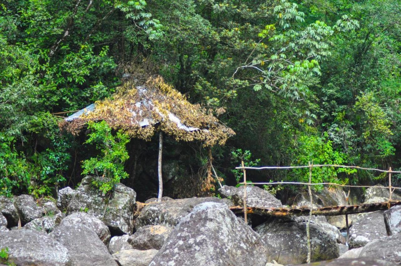 Jungle Tree House Rangala Kandy