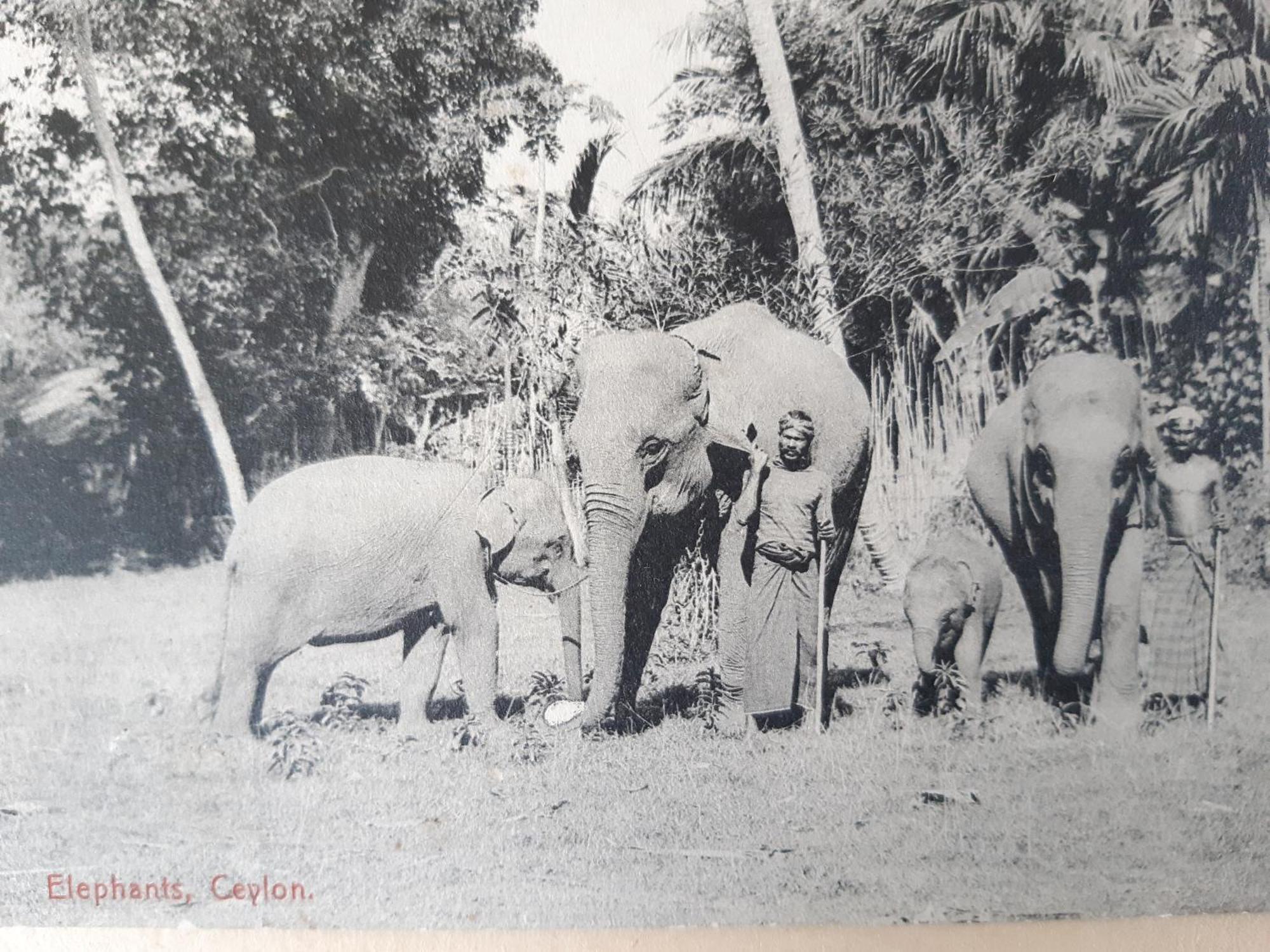 Rajagala Hunnasgiriya Kandy