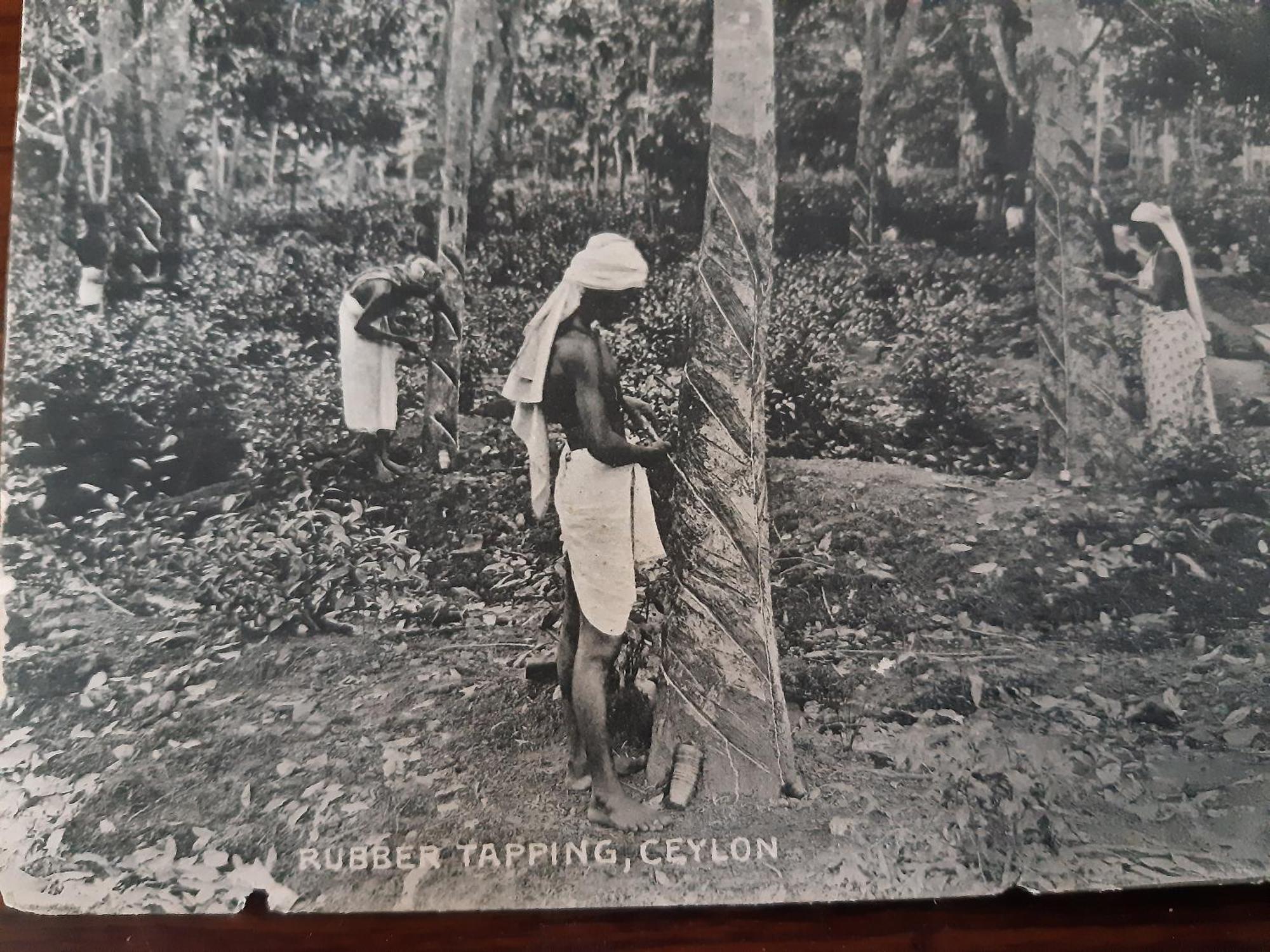 Rajagala Hunnasgiriya Lodge Kandy
