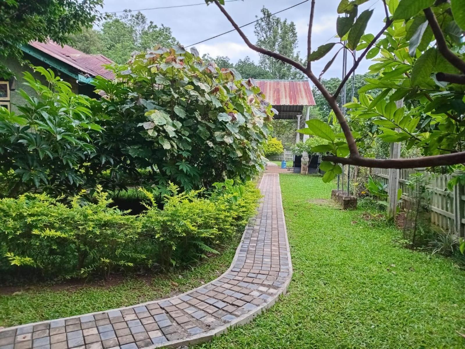 Lodge Rajagala Hunnasgiriya *