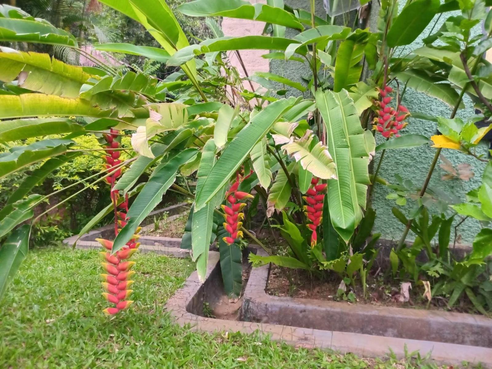 Rajagala Hunnasgiriya Lodge