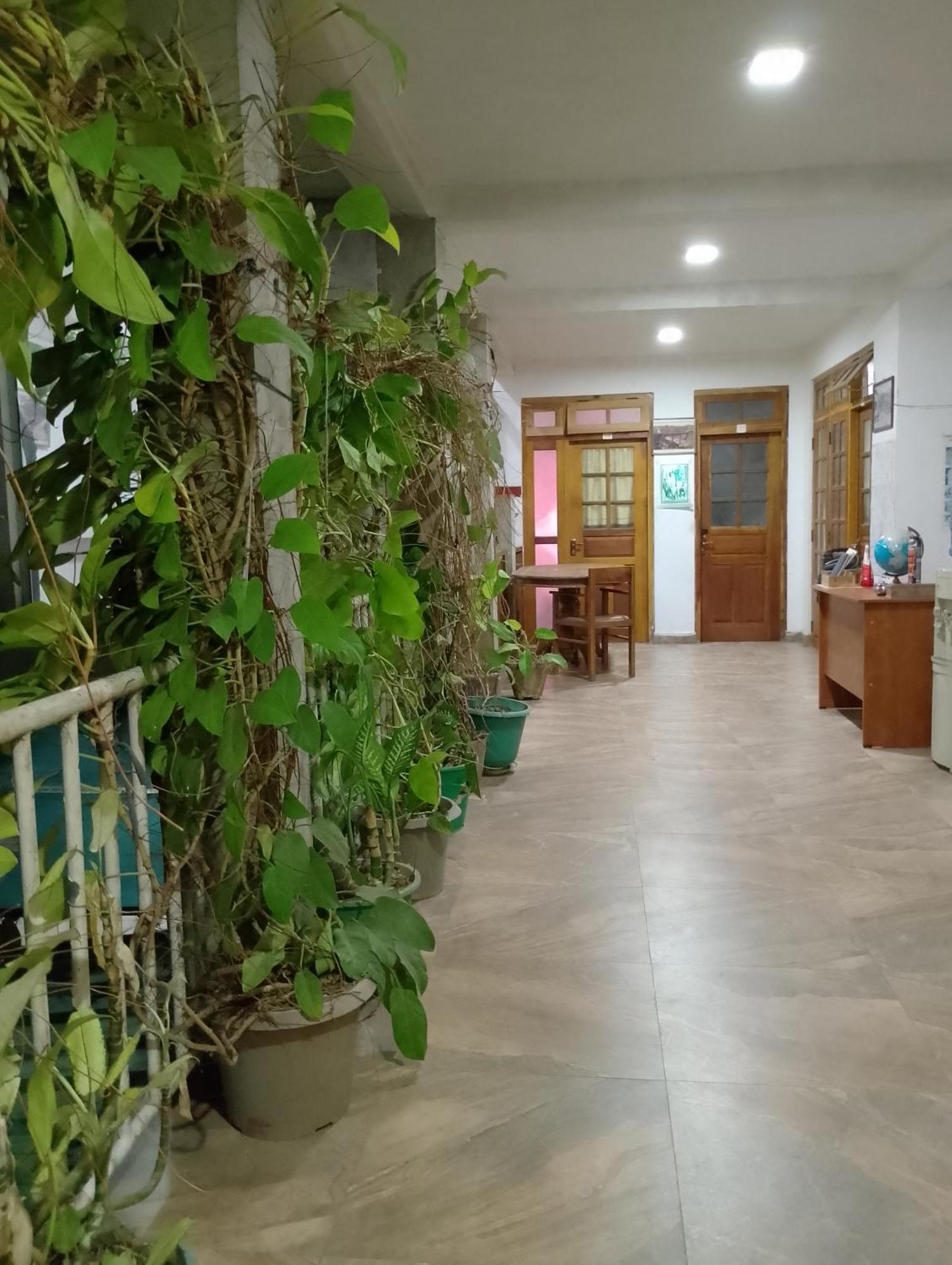 Homestay Old Town