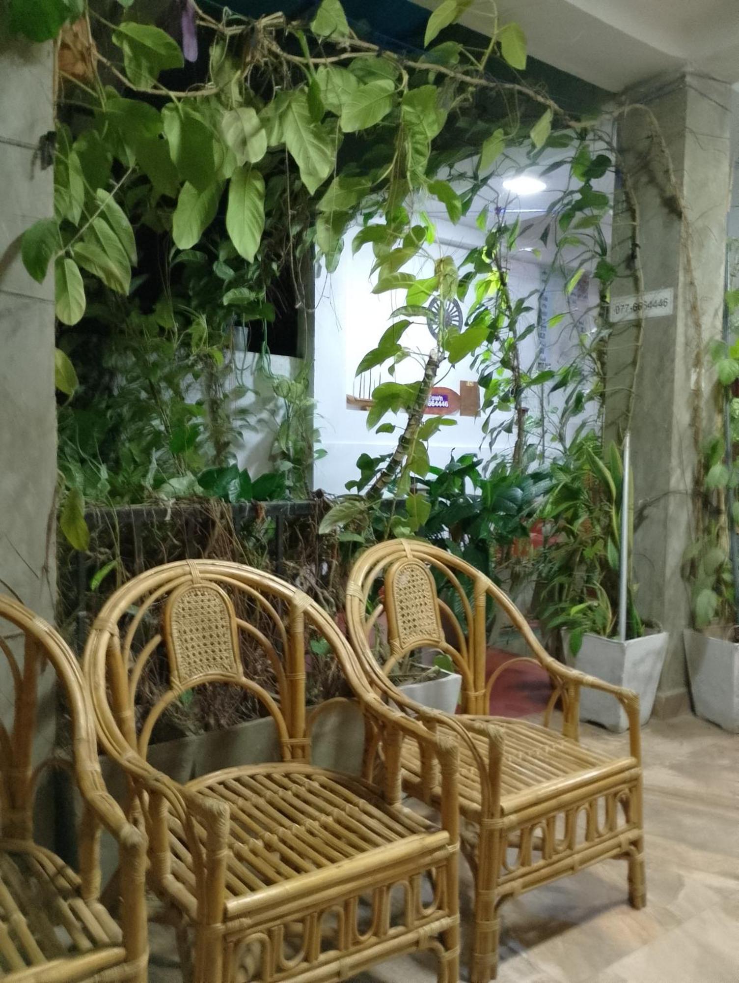 Old Town Homestay *