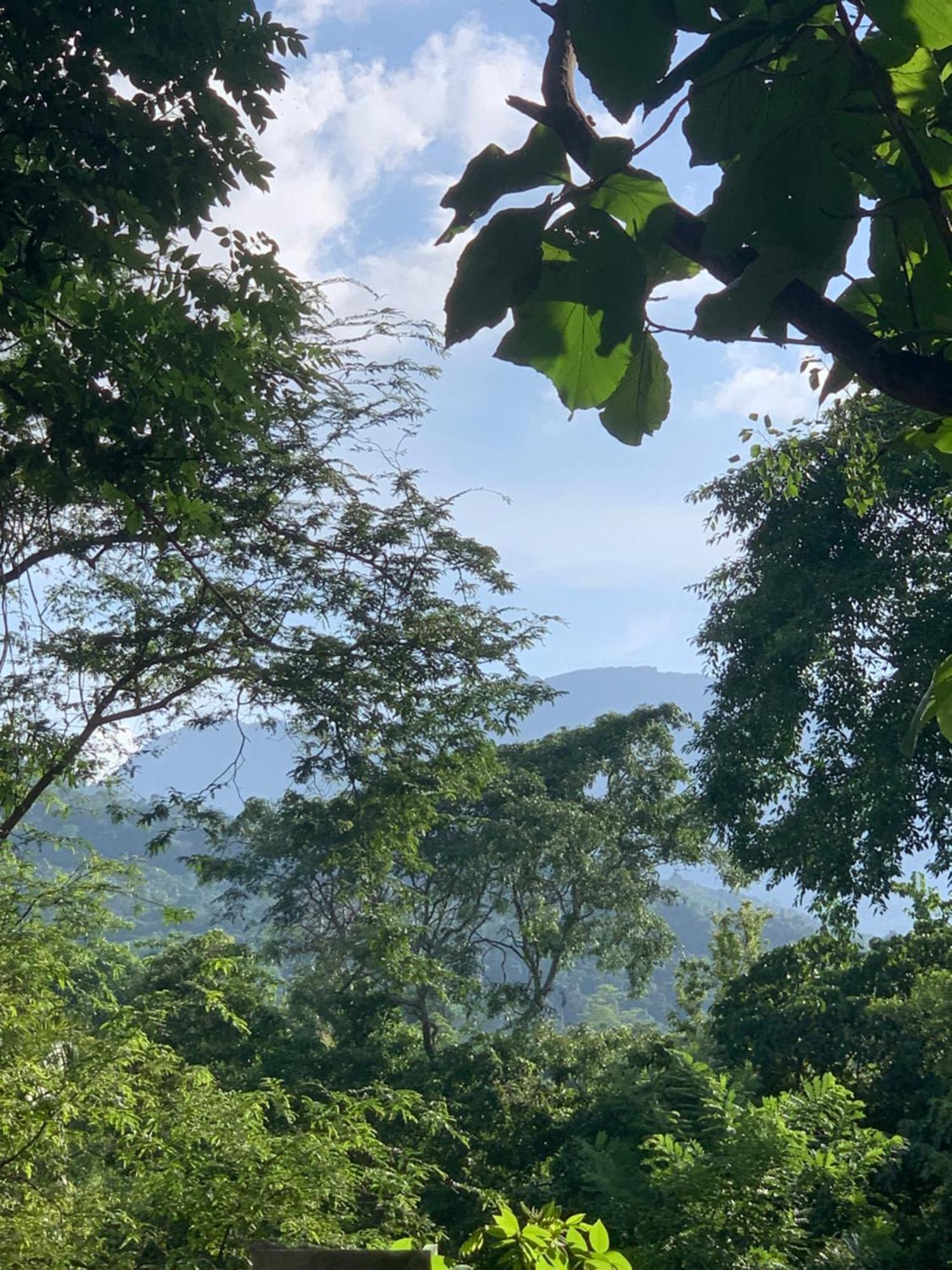 Enchanted * Kandy