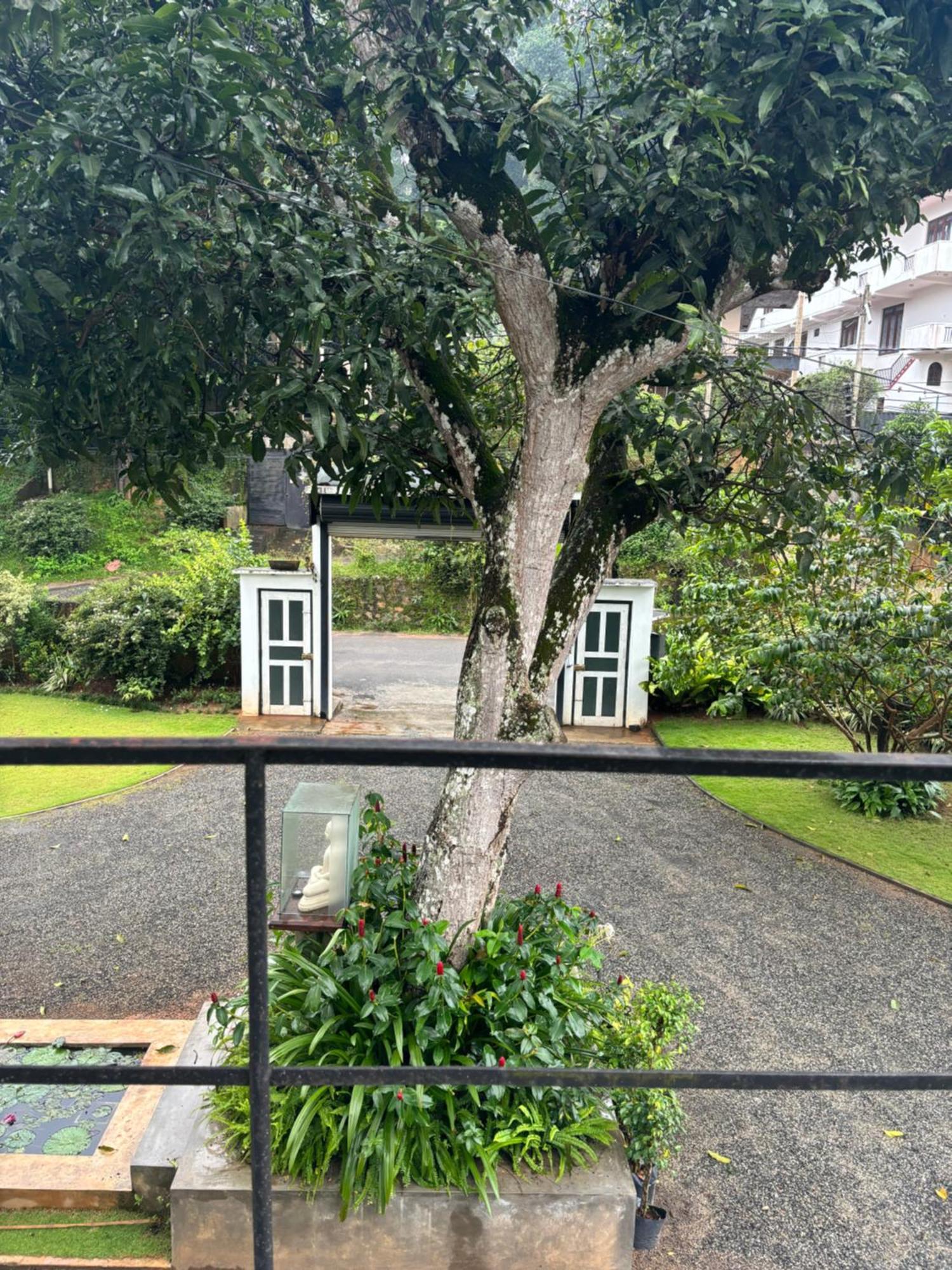 Avenue 38 Bed & Breakfast *