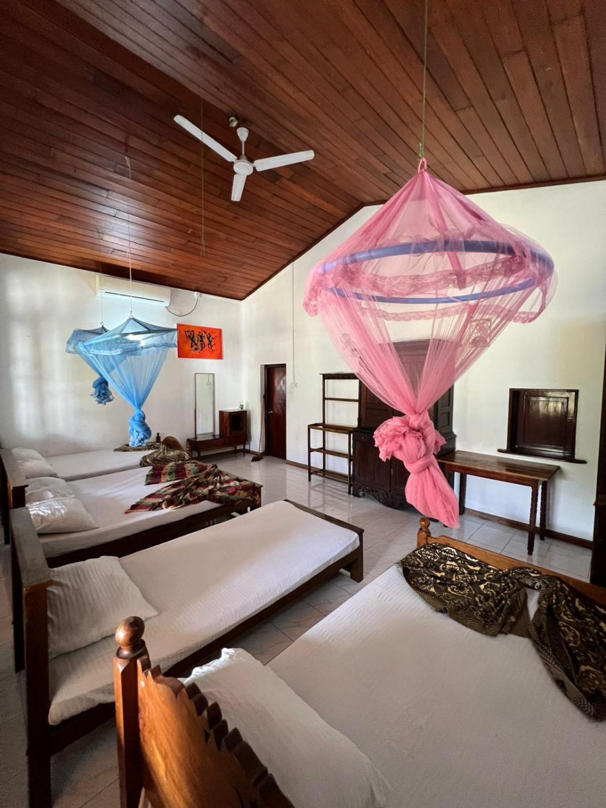 Homestay Antique Tourists *
