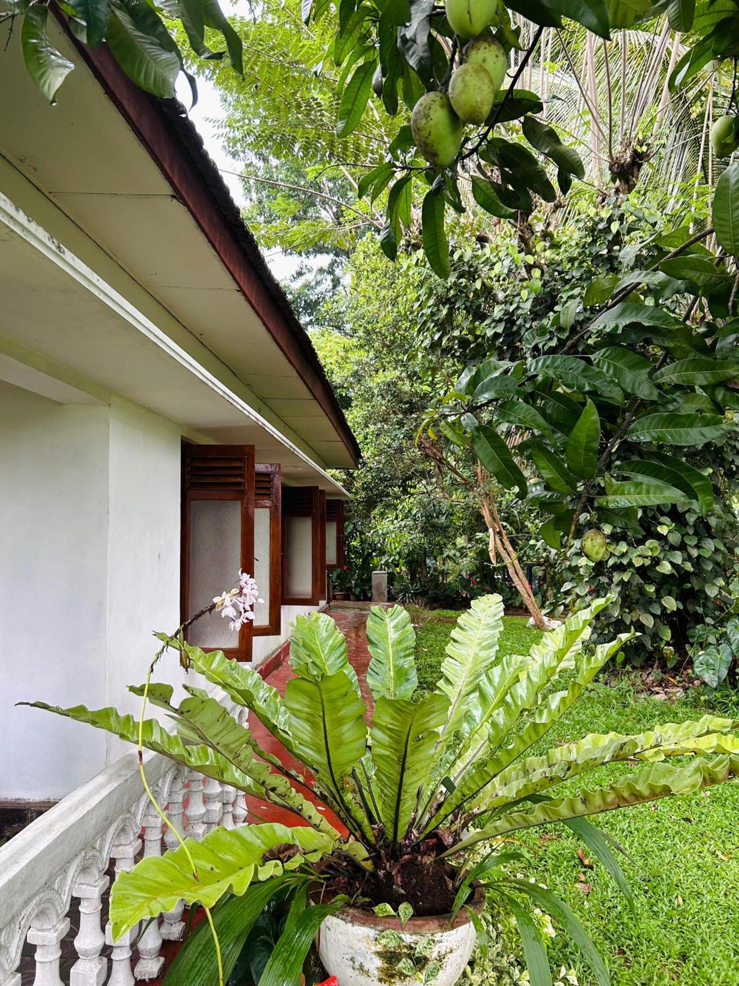 Homestay Acres Kandy