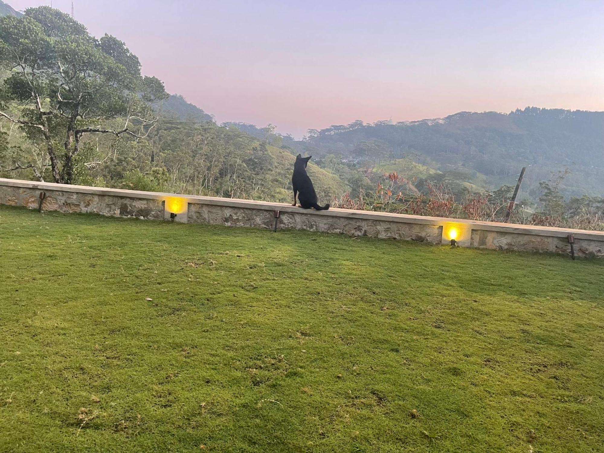 Hotel Hanthana Heritage