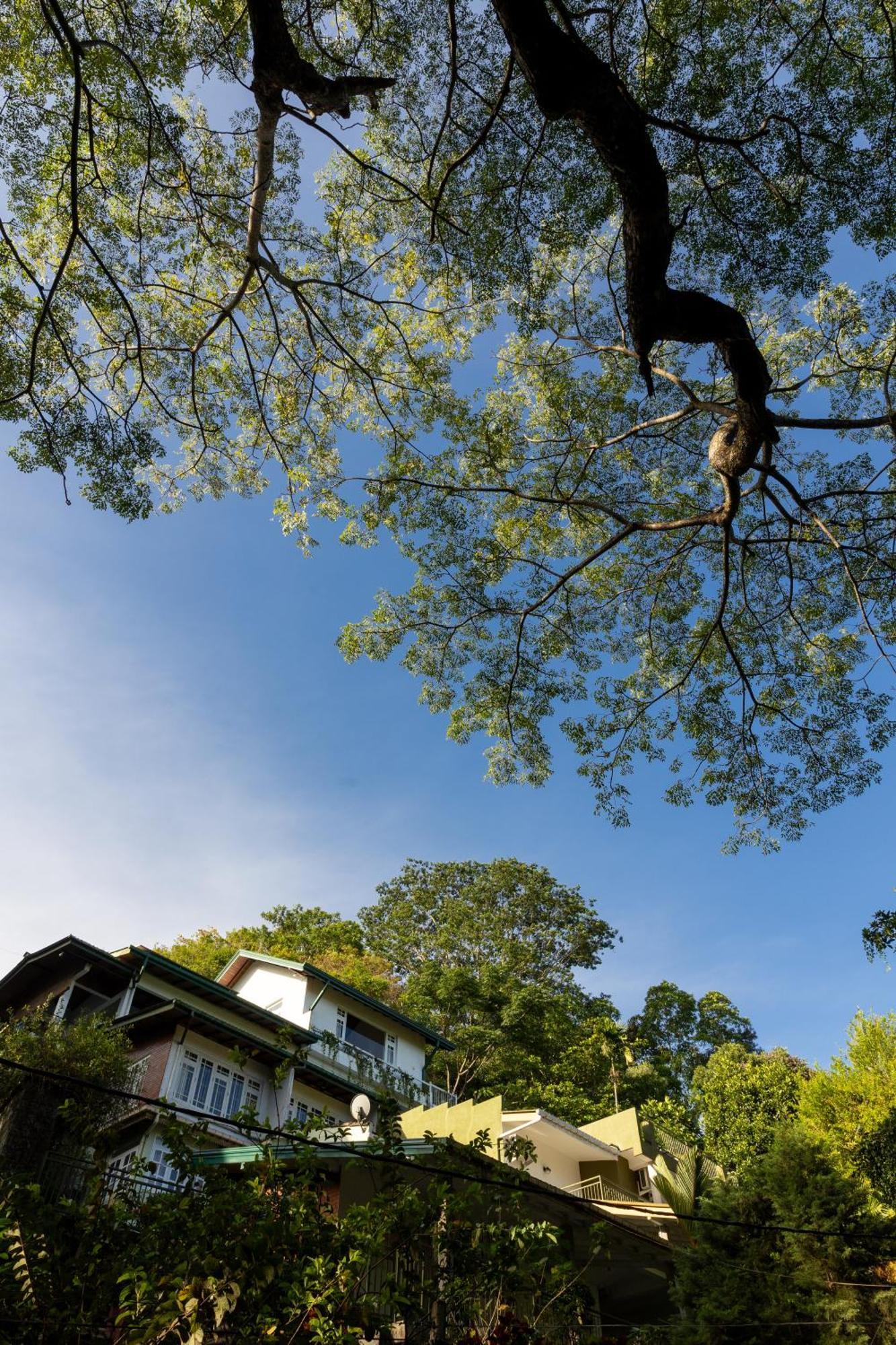Greenwood Edge Homestay