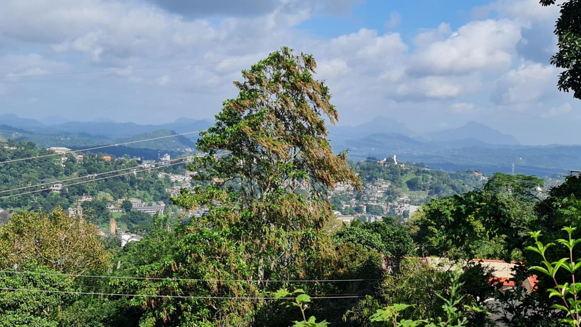 Windy * Kandy