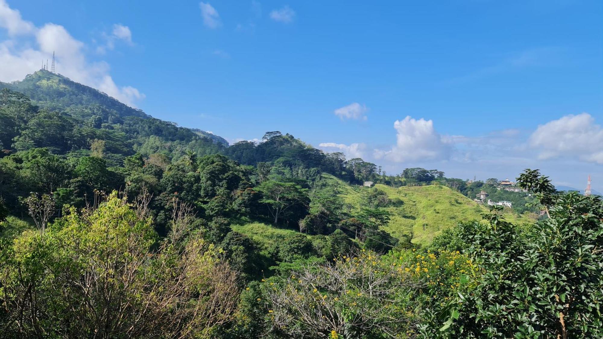 Windy Kandy