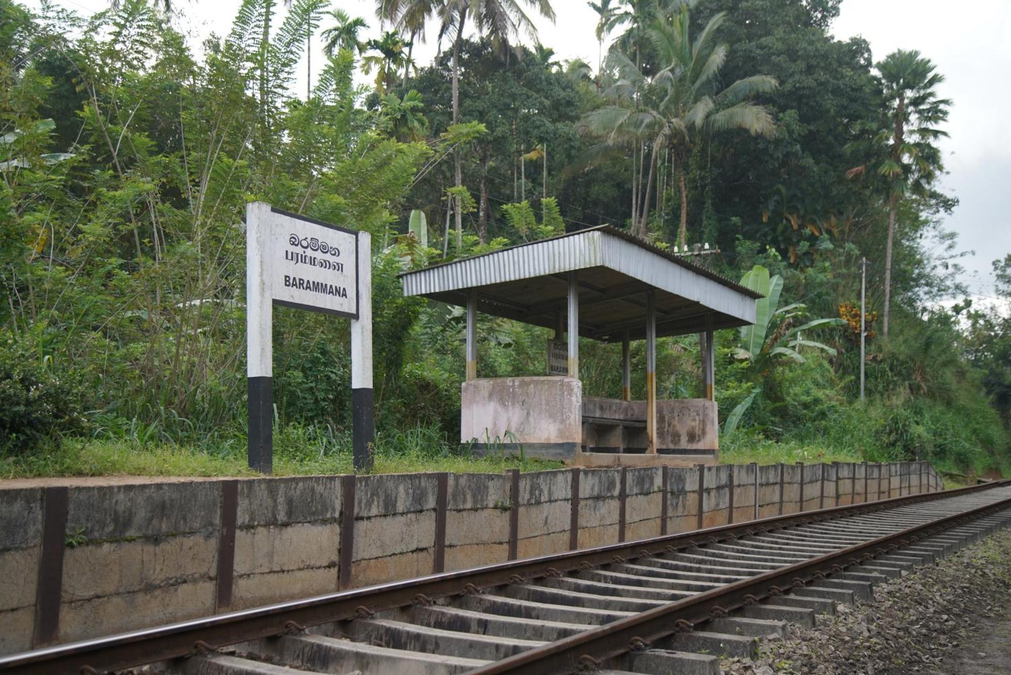Ayubowan Eco
