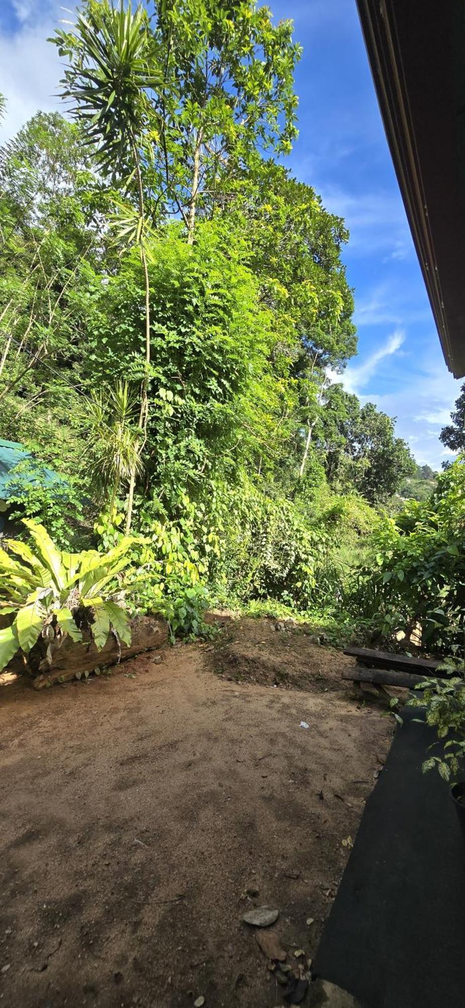 Ceylon Shine Homestay *