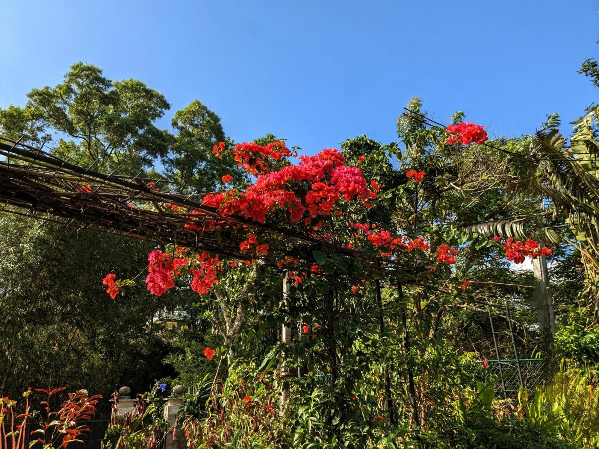 Namadi Heights Guest house Kandy