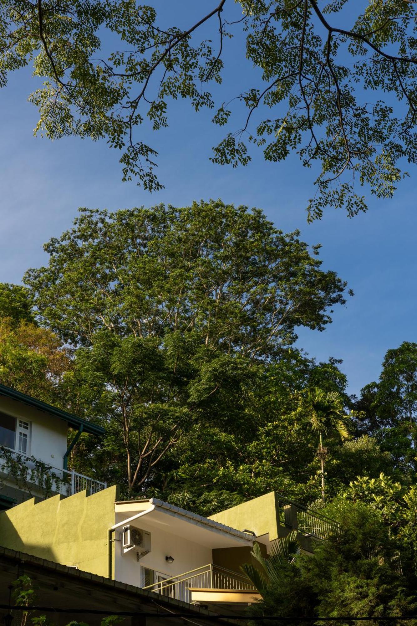 Homestay Greenwood Edge