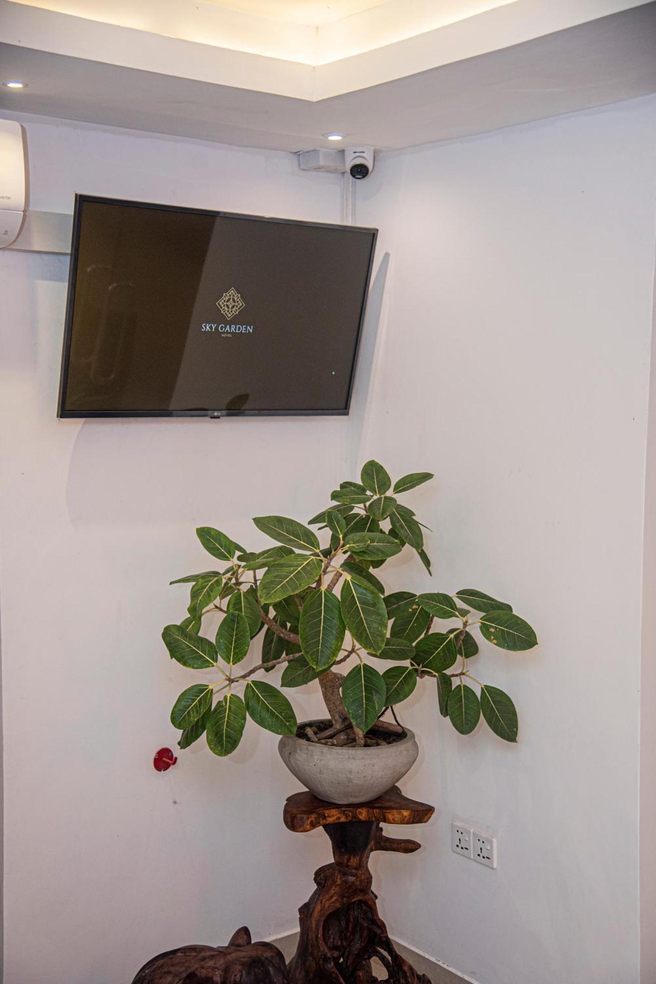 Sky Garden -