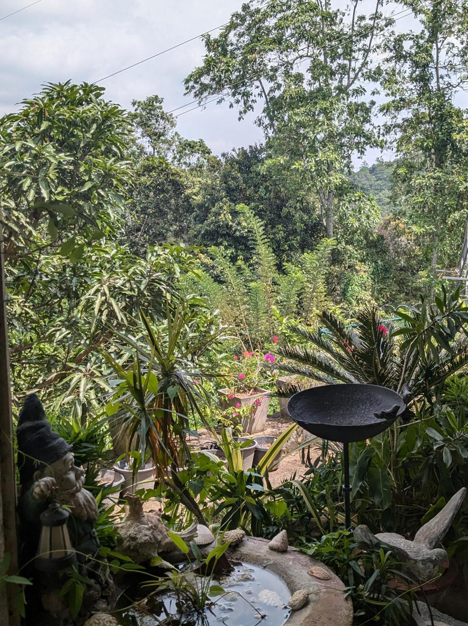 Namadi Heights Kandy