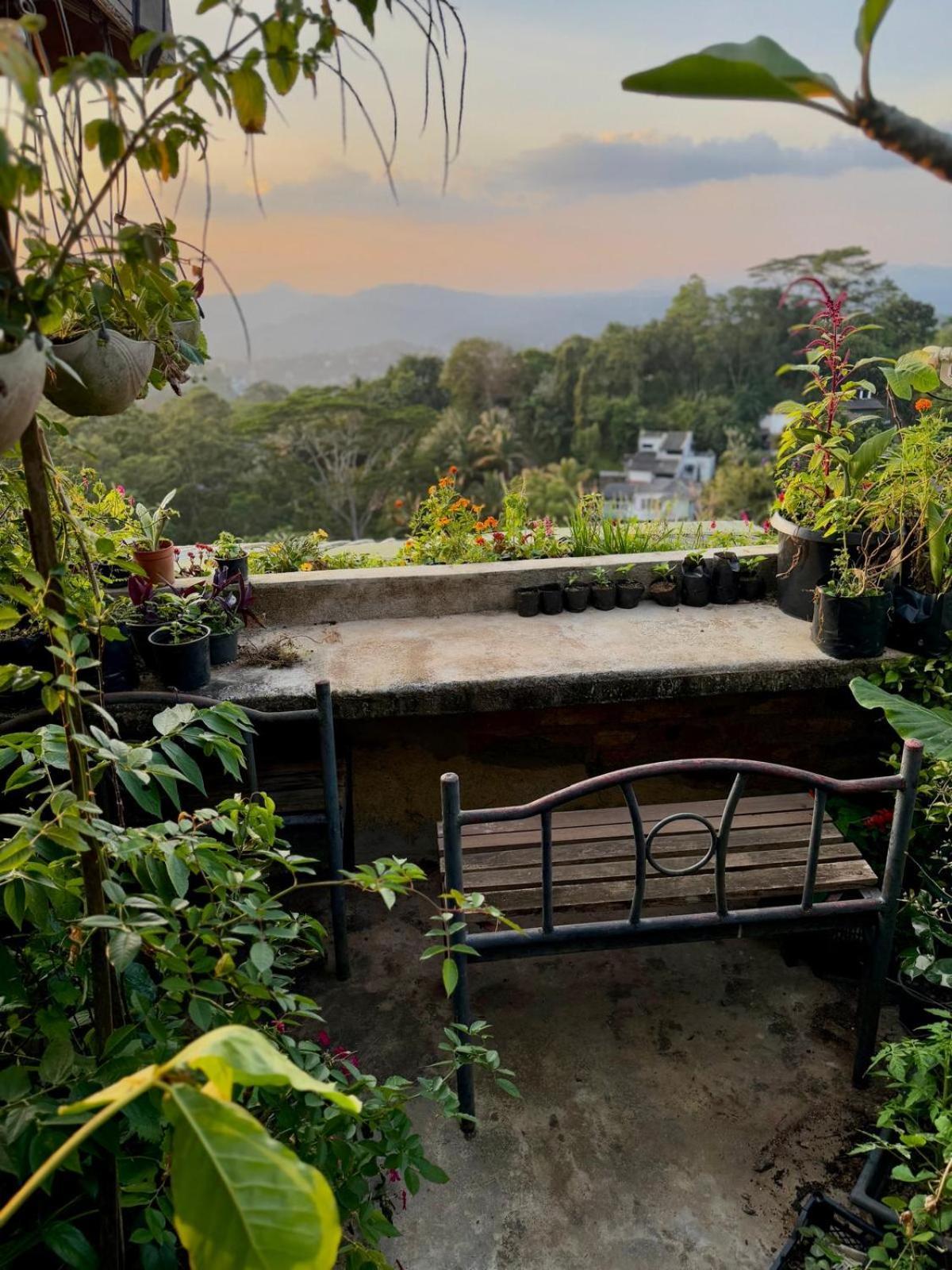 Pekoetrails Hantana Homestay Kandy