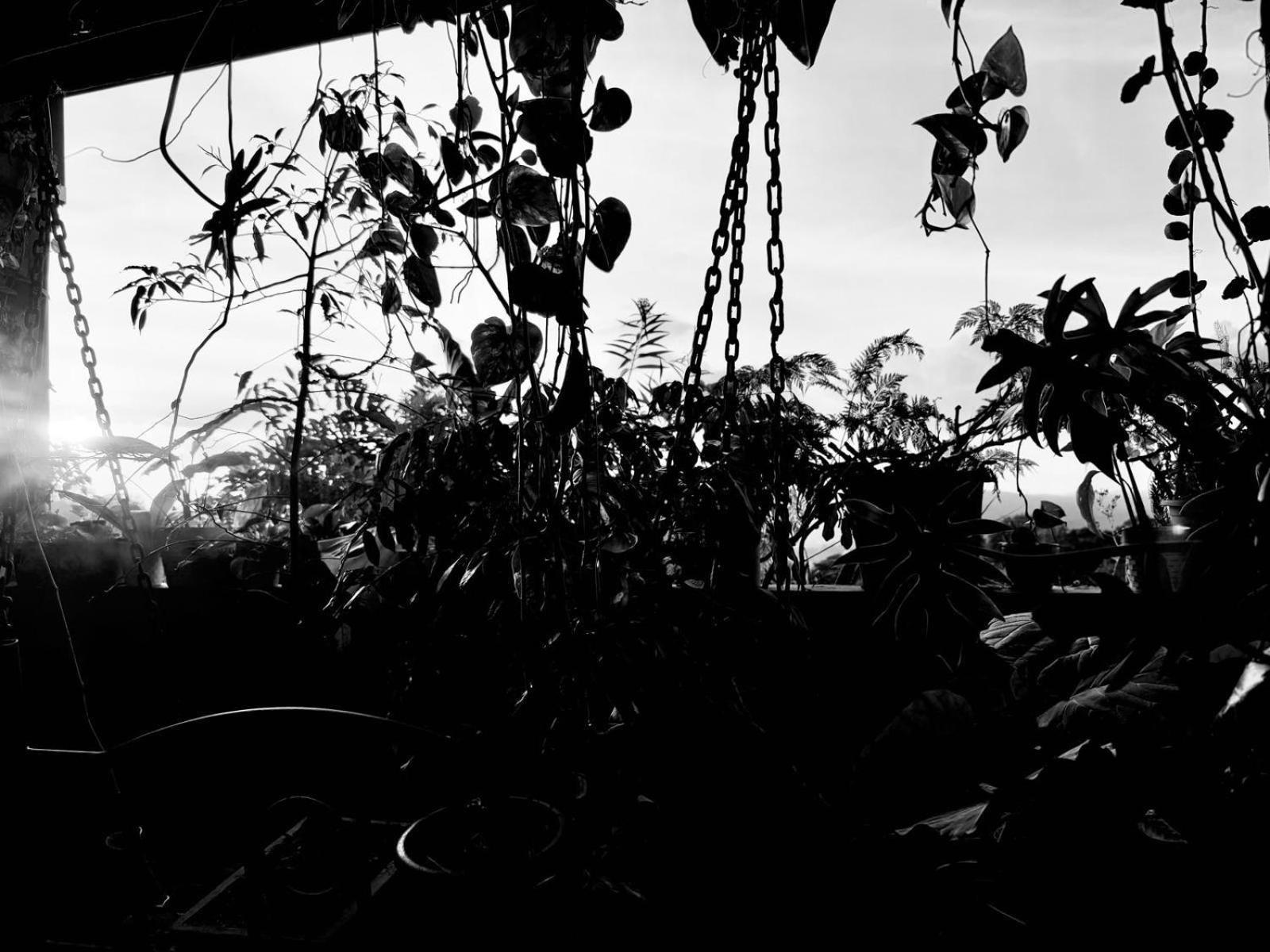 Pekoetrails Hantana Homestay Kandy