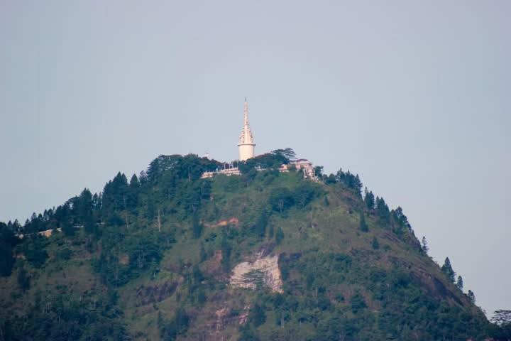 Okaya *
