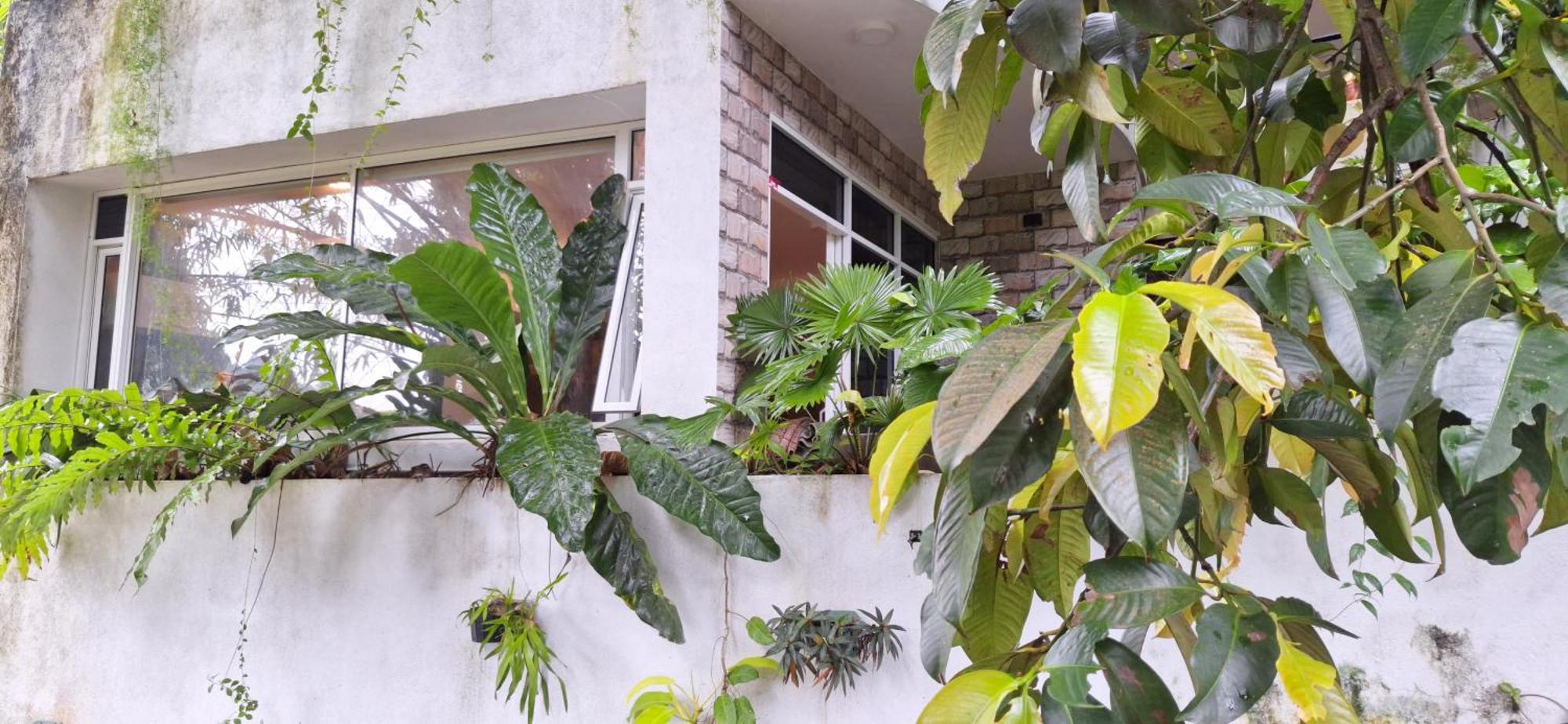 Apartment Malee Kandy