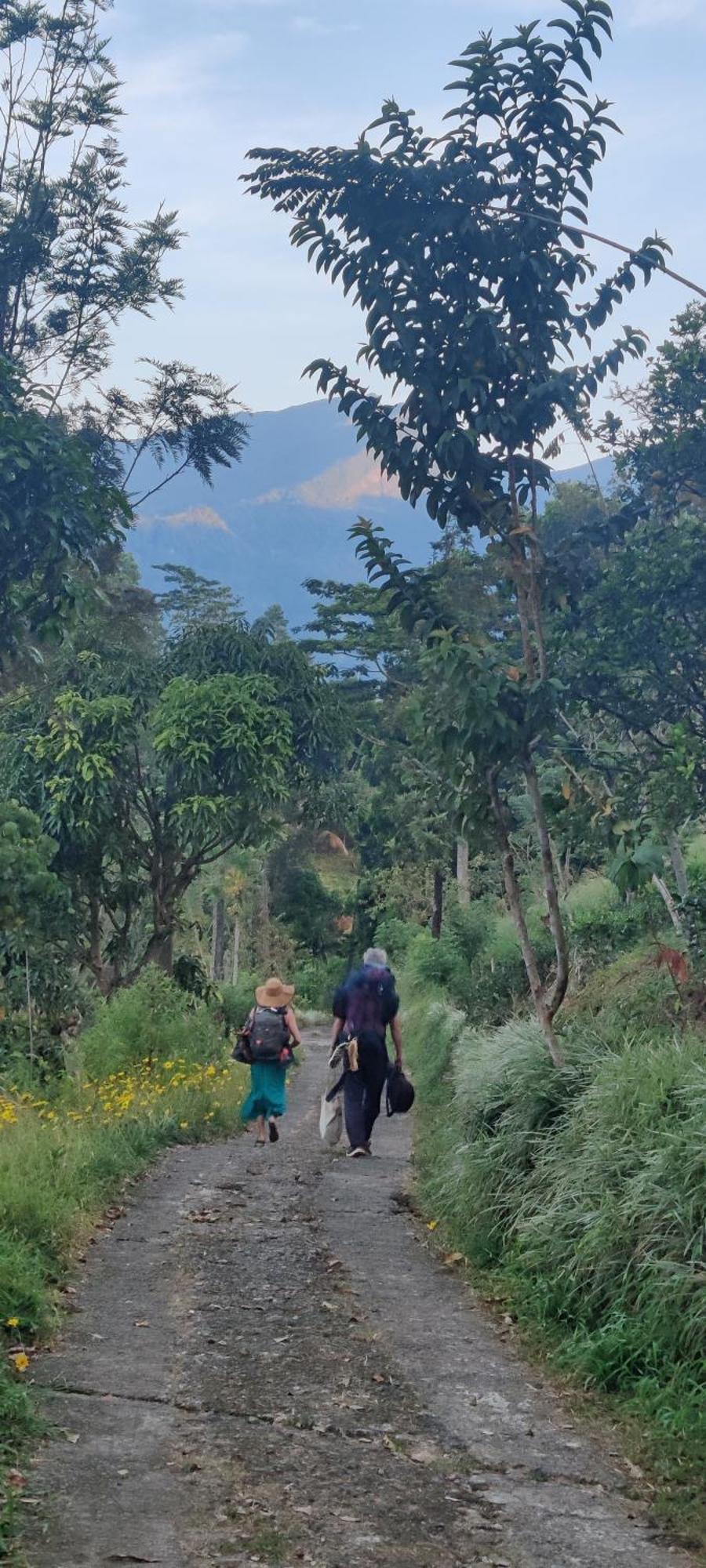 Homestay Rohana Estate & *