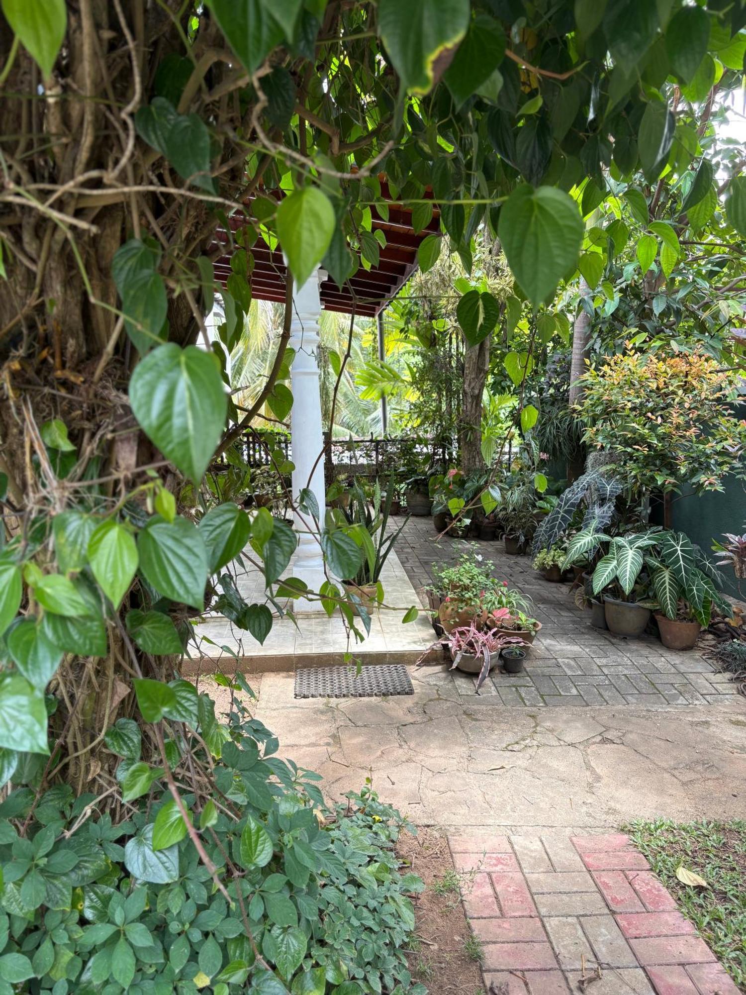 Homestay Leena *