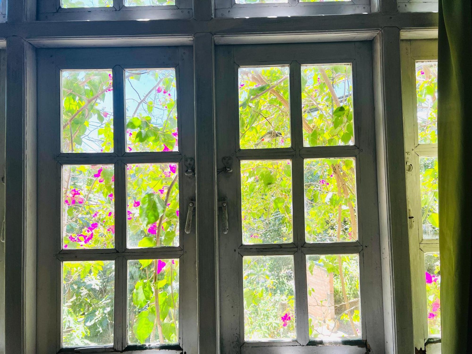 New Blue Mount View * Kandy