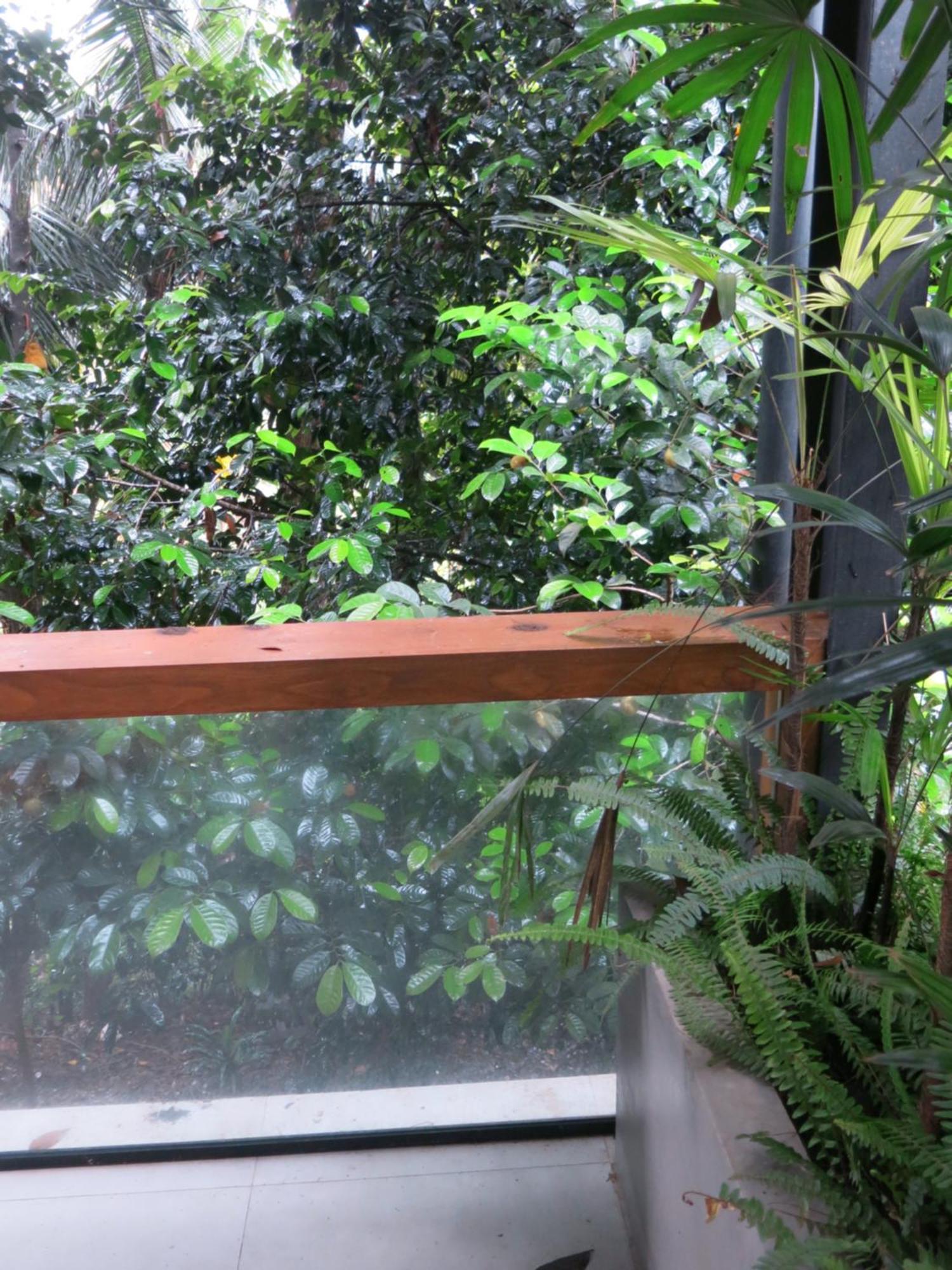 Hotel Paradise Itzu Kandy