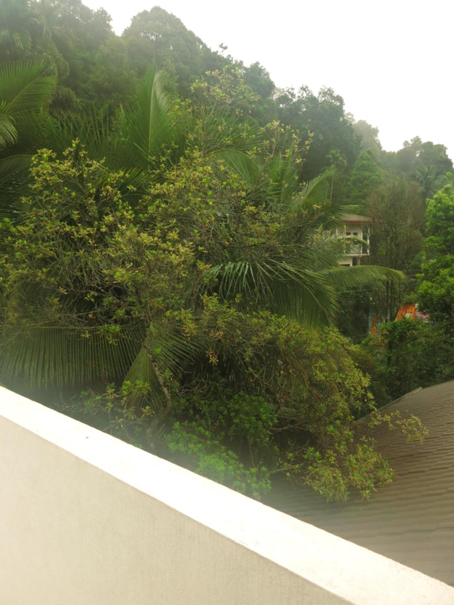 Hotel Paradise Itzu