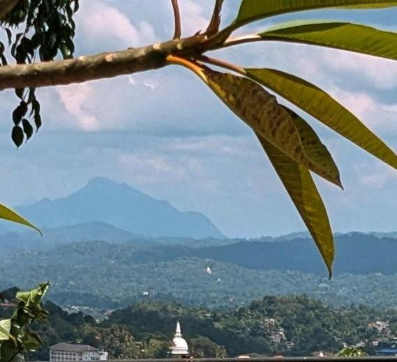 Guest house Namadi Heights Kandy