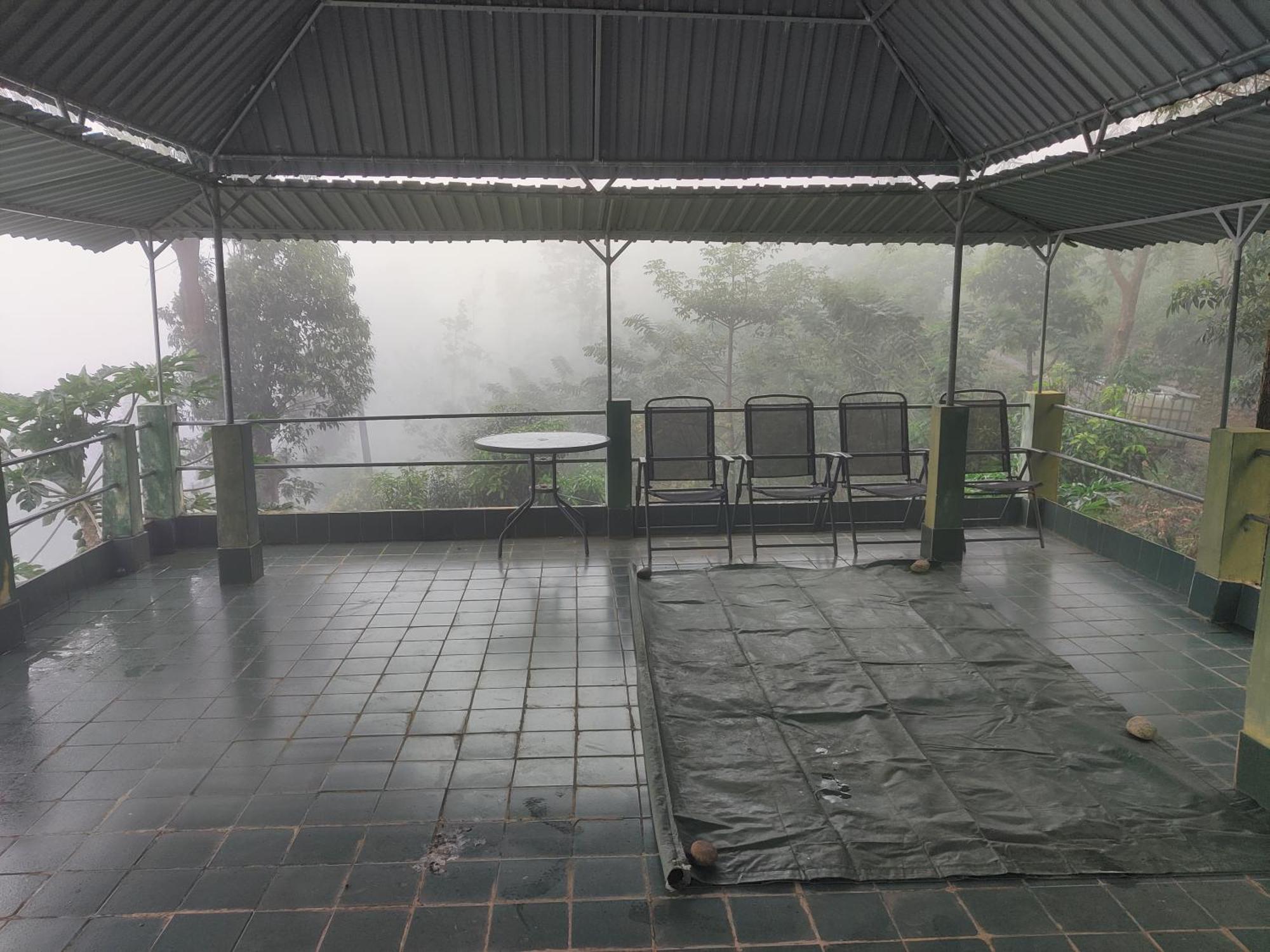 Rohana Estate & Kandy
