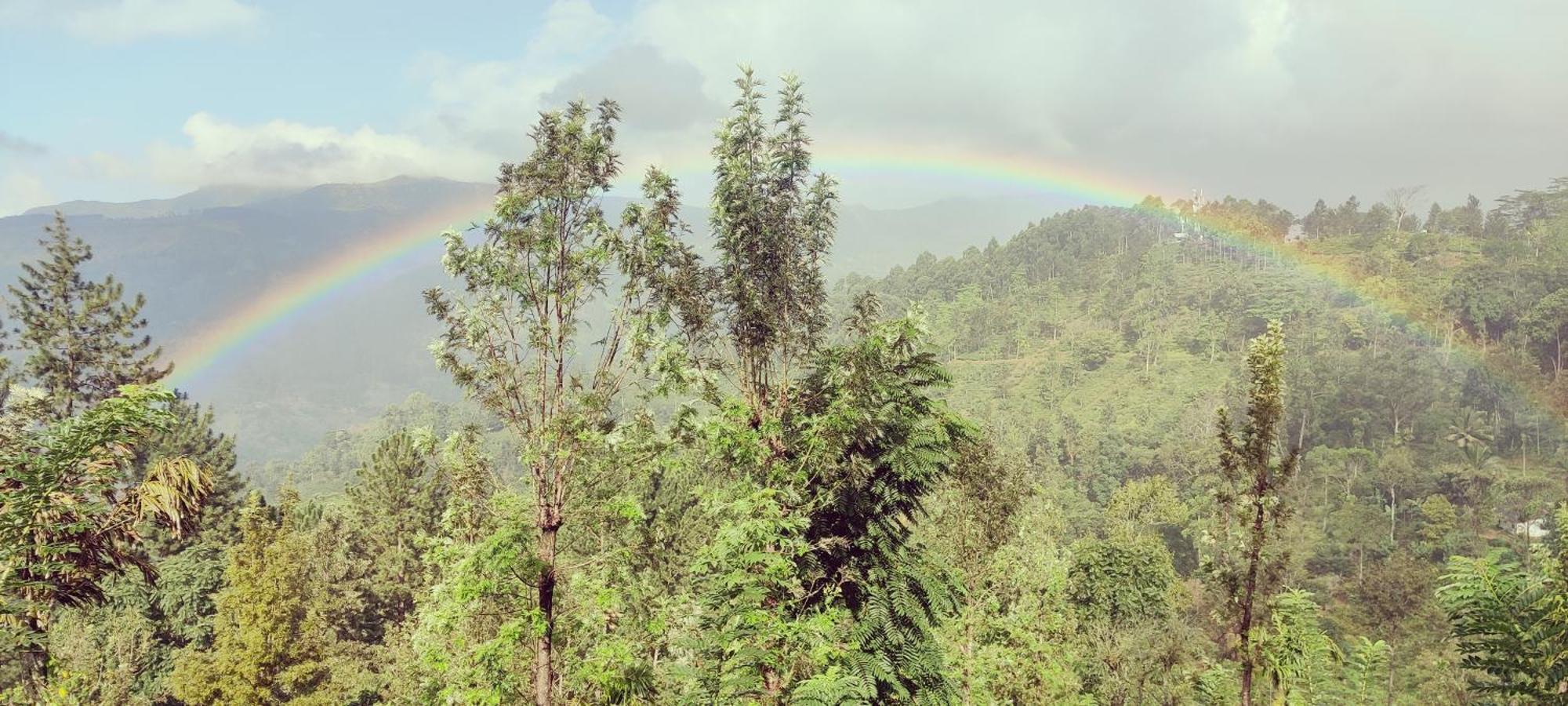 Rohana Estate & * Kandy