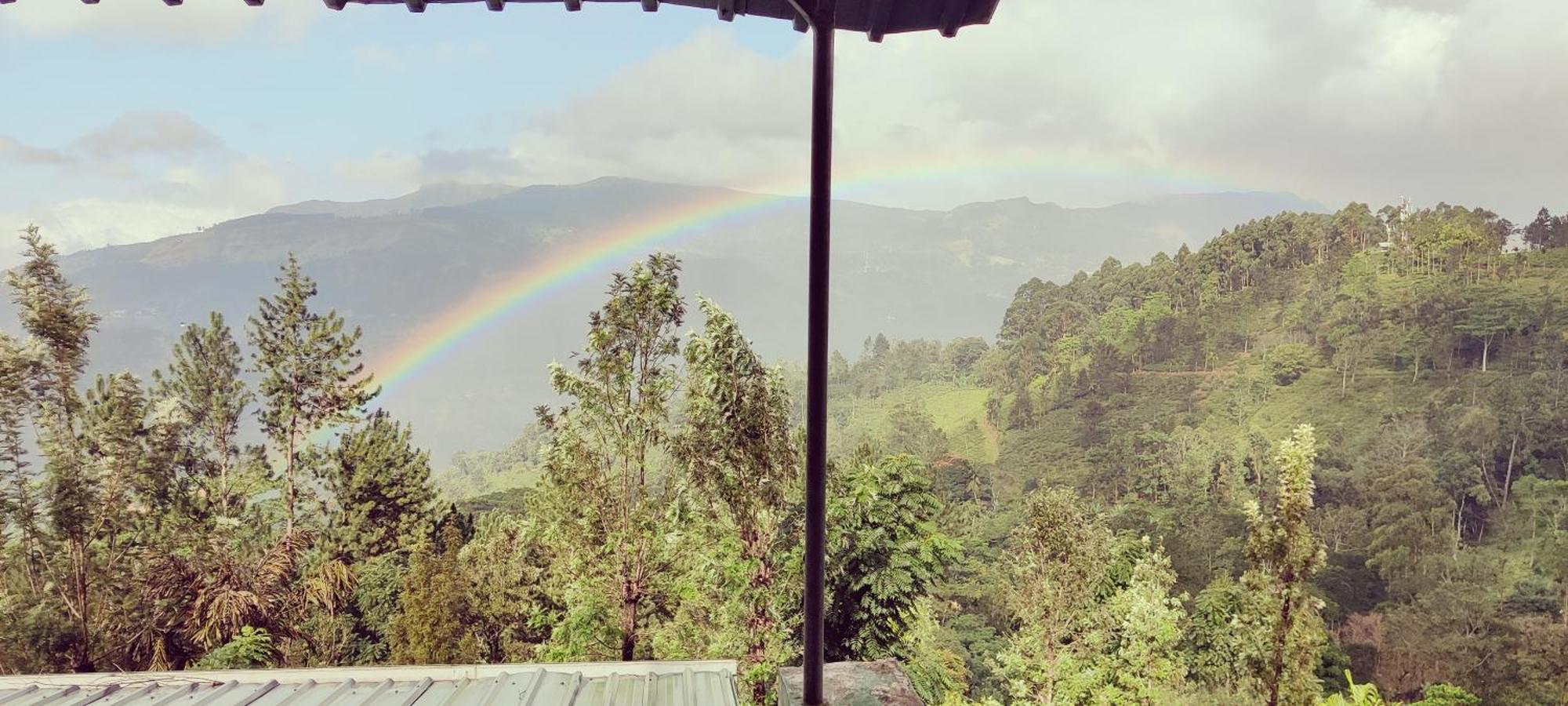 Homestay Rohana Estate & Kandy