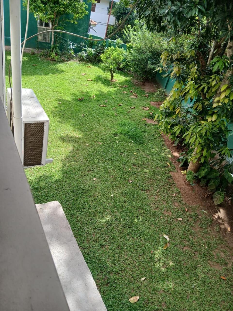 Guest house Twin