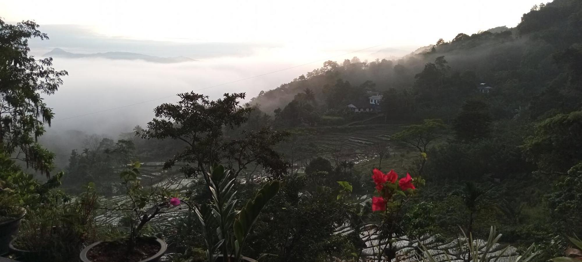 Ivy Mountain View Kandy