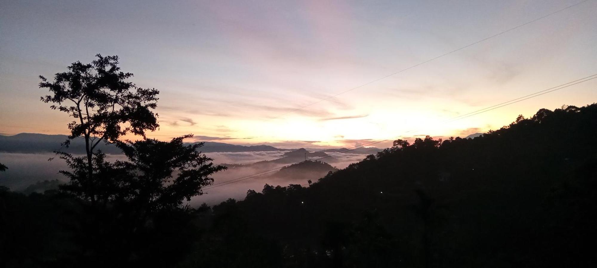 Ivy Mountain View