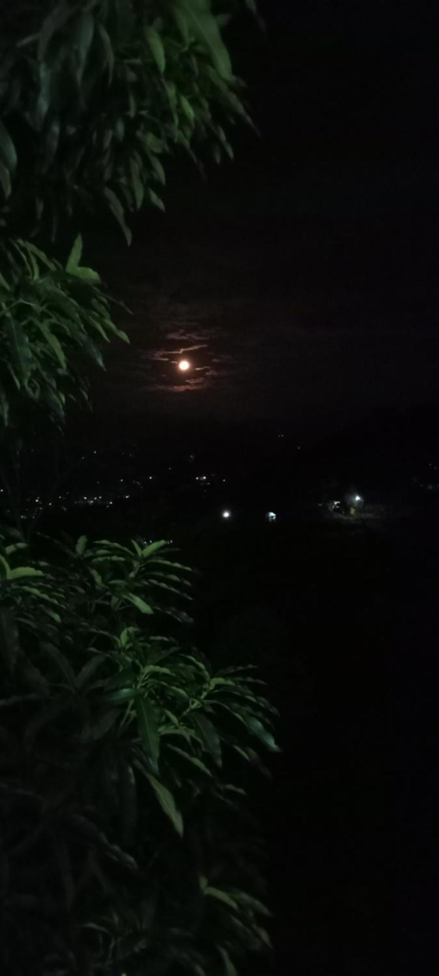 Ivy Mountain View *